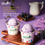 NATURALS-ICE-CREAM-FOR-SUMMERS