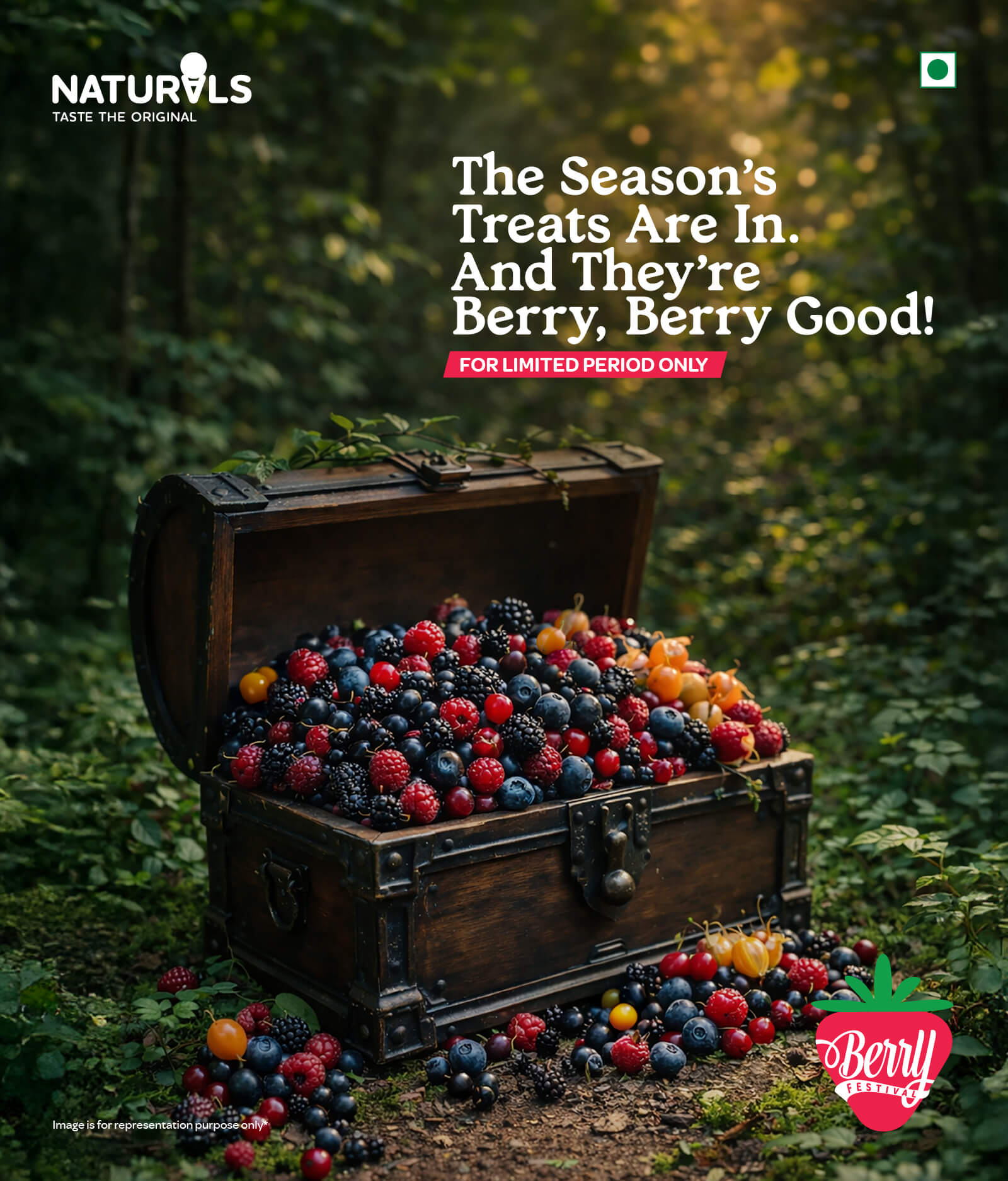 Berry Festival Digital Adaptation_Mobile Size-- 768 × 900 px (1) (1)