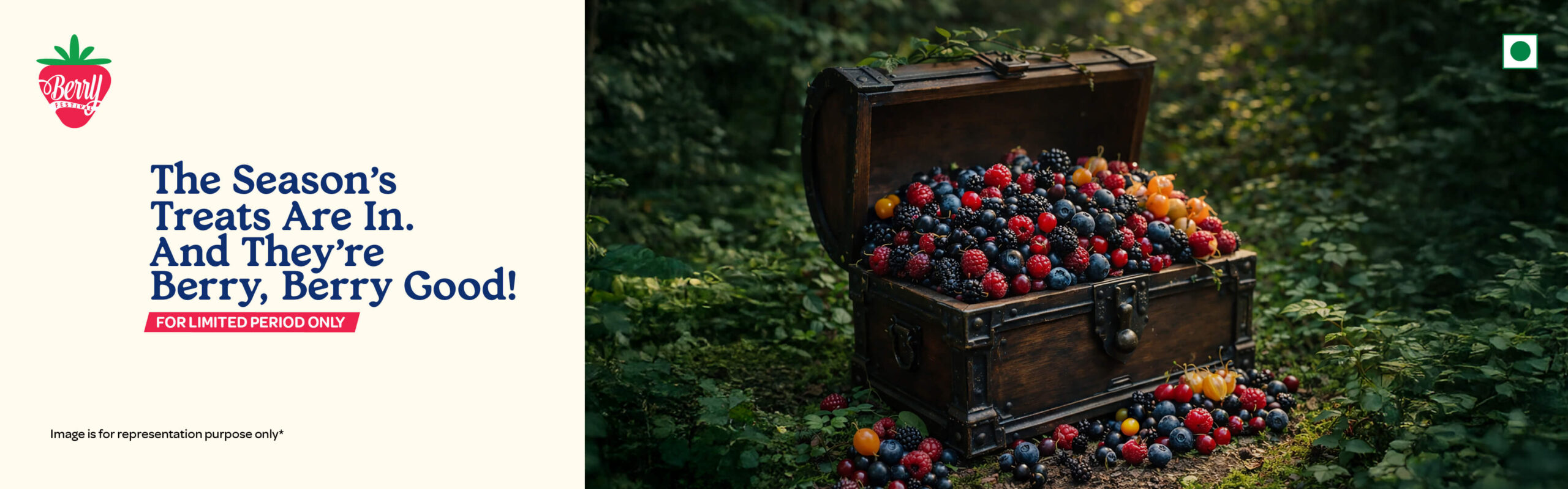 Berry Festival Digital Adaptation_Website Banner Desktop Size- - 1920 x 600 px (1) (1)