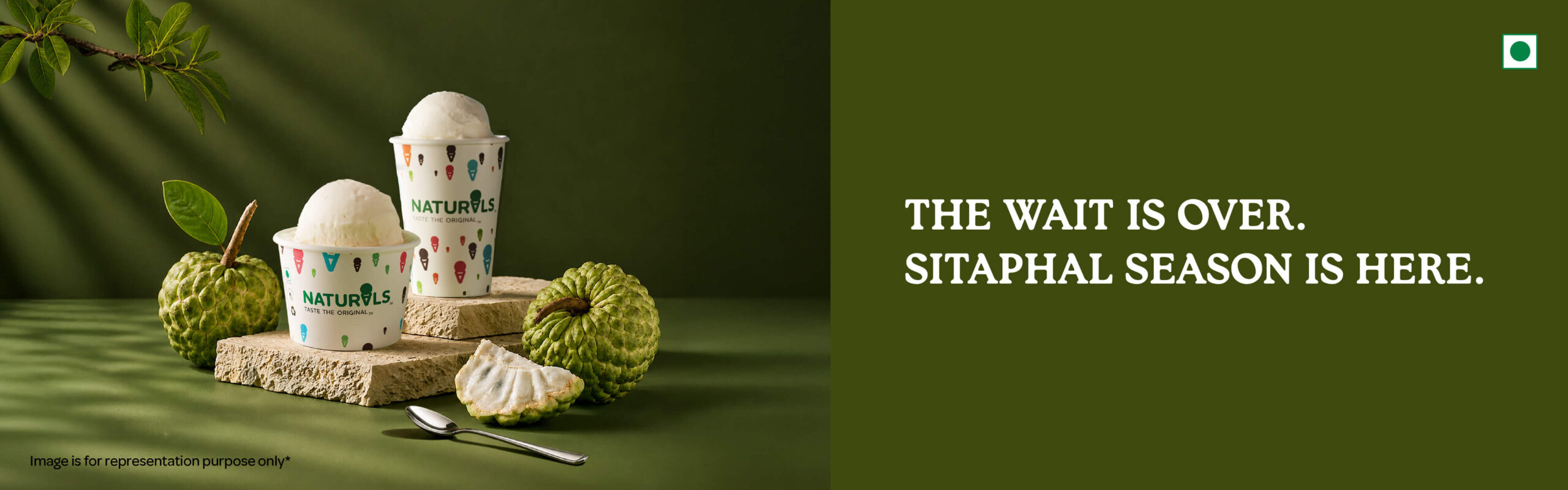 Sitaphal_Digital Adapts_Website Banner Desktop Size- - 1920 x 600 px (1)